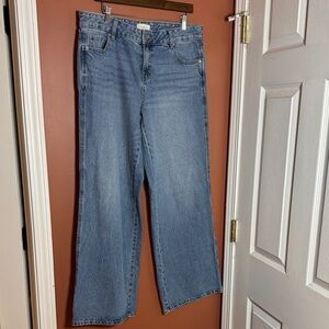 Pacsun Low rise baggy jeans